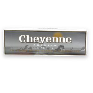 CHEYENNE KING SILVER BOX