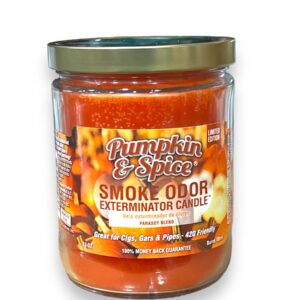TOP CANDLE 13OZ PUMPKIN & SPICE