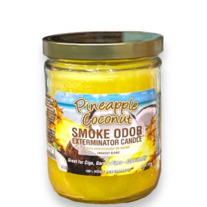 TOP CANDLE 13OZ PINEAPPLE COCONUT