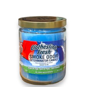 TOP CANDLE 13OZ CLOTHESLINE FRESH