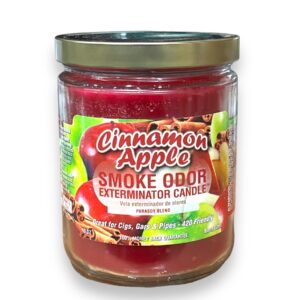 TOP CANDLE 13OZ CINNAMON APPLE
