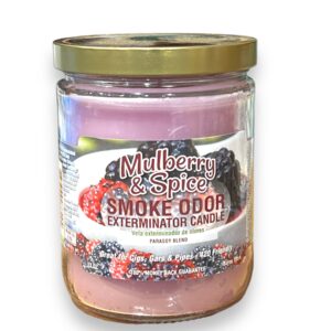 TOP CANDLE 13OZ MULBERRY SPICE