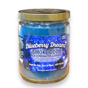 TOP CANDLE 13OZ BLUEVERRY DREAMZ