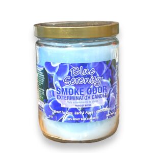 TOP CANDLE 13OZ BLUE SERENITY