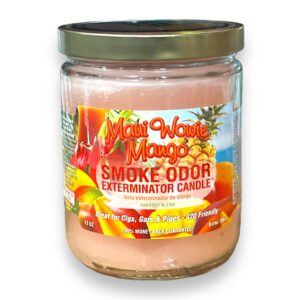 TOP CANDLE 13OZ SOUTHERN MAUI WOVIE MANGO