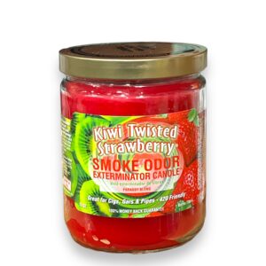 TOP CANDLE 13OZ KIWI TWISTED STRAWBERRY