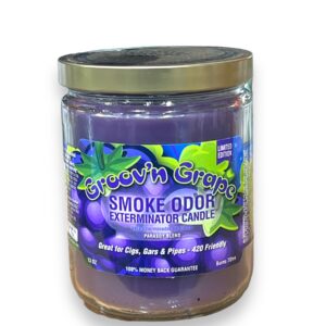 TOP CANDLE 13OZ GROOV'N GRAPE
