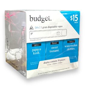 BUDGET HHC 1GM CARTRIDGES 30CT BOX