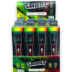 OOZE SMART BATTERY 650 MAH EACH -RASTA