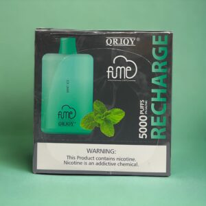 FUME RECHARGE MINT ICE 5000 PUFFS 10 CT BOX