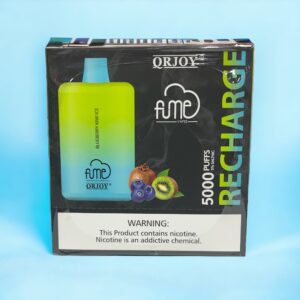 FUME RECHARGE BLUEBERRY KIWI ICE 5000 PUFFS 10 CT BOX