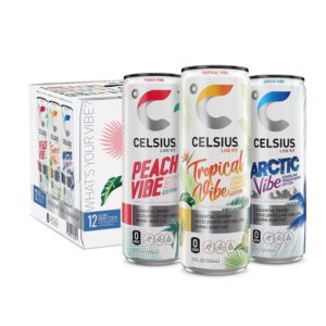 CELSIUS COSMIC VIBE 12OZ 12CT
