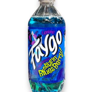 FAYGO BTL 20OZ JAZZIN BLUESBERRY 24CT