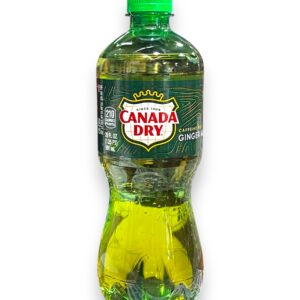 CANADA DRY 20OZ 24CT