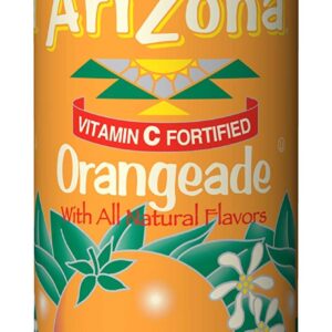 ARIZONA CAN ORANGEADE 23OZ