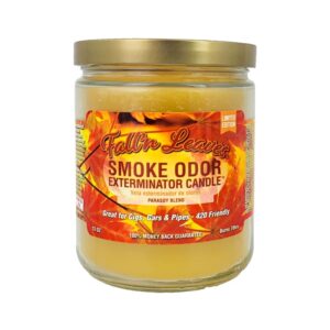 TOP CANDLE 13OZ FALL IN LEAVES