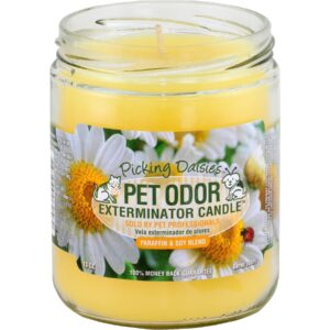 TOP CANDLE 13OZ PICKING DAISIES