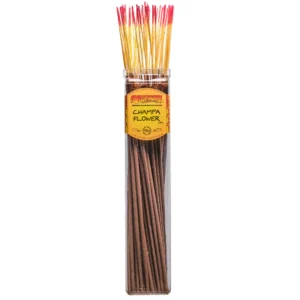 WILDBERRY JUMBO INCENSE STICK CHAMPA FLOWER 50CT PK