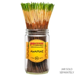 WILDBERRY INCENSE STICK 100CT PACK - AWAPUHI