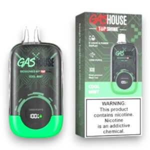 GASHOUSE 12000 PUFF DISPOSABLE 10CT -COOL MINT
