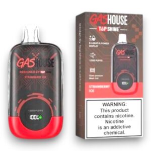 GASHOUSE 12000 PUFF DISPOSABLE 10CT -STRAWBERRY ICE