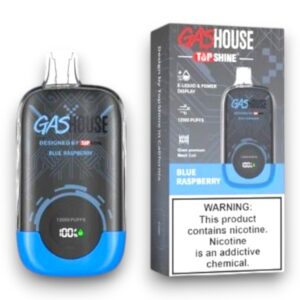 GASHOUSE 12000 PUFF DISPOSABLE 10CT -BLUE RASPBERRY