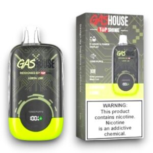 GASHOUSE 12000 PUFF DISPOSABLE 10CT -LEMON LIME