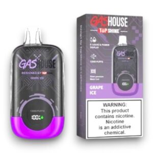 GASHOUSE 12000 PUFF DISPOSABLE 10CT -GRAPE ICE