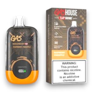 GASHOUSE 12000 PUFF DISPOSABLE 10CT -RASPBERRY PINEAPPLE
