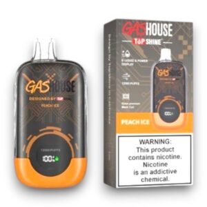 GASHOUSE 12000 PUFF DISPOSABLE 10CT -PEACH ICE