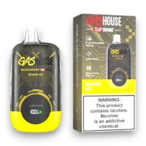GASHOUSE 12000 PUFF DISPOSABLE 10CT -BANANA ICE