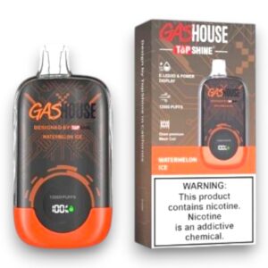 GASHOUSE 12000 PUFF DISPOSABLE 10CT -WATERMELON ICE