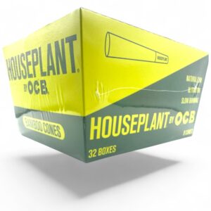 HOUSEPLANT BY OCB BAMBOO CONE 1 1/4 6/32CT
