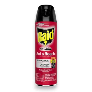 RAID ANT & ROACH 12OZ OUTDOOR FRESH