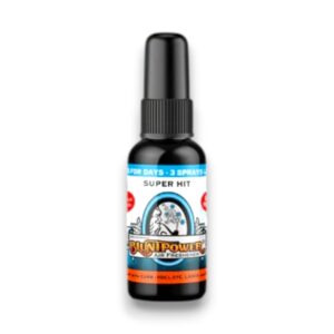 BLUNT POWER SPRAY 1CT SUPER HIT