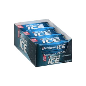 DENTYNE ICE WINTER CHILL 9CT