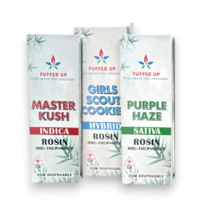PUFFED UP 3GM THCP / HHC DISPOSABLE 5CT