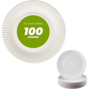 PAPER PLATES 9" 100CT