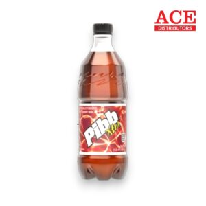 MR PIBB 20OZ 24CT