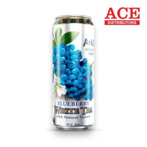 ARIZONA CAN BLUBERRY WHITE TEA 22OZ