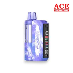 FOGER SWITCH PRO 30000 PUFFS DISPOSABLE KIT 5CT BOX - FROZEN BLACKBERRY