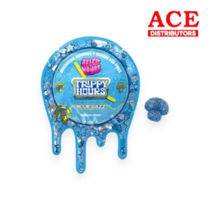 AFTER HOURS MUSHROOM GUMMIES BLUE RAZZ 1000MG - 1CT