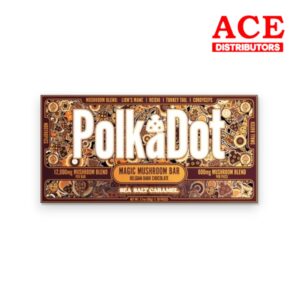 POLKA DOT 12000MG MUSHROOM CHOCOLATE EACH -SEA SALT CARAMEL
